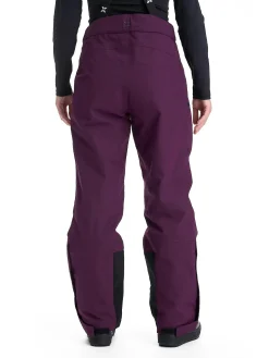 chamonix ski pant w