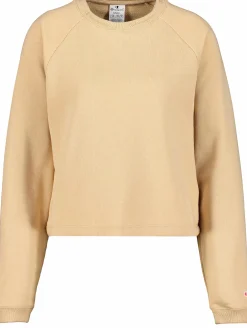 crewneck croptop sweatshirt