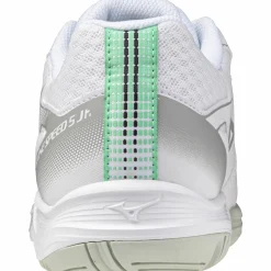 cyclone speed 5 jr.(c)