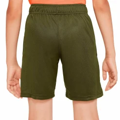 dri-fit shorts b jr