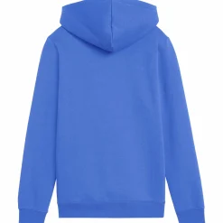 ess logo lab hoodie jr