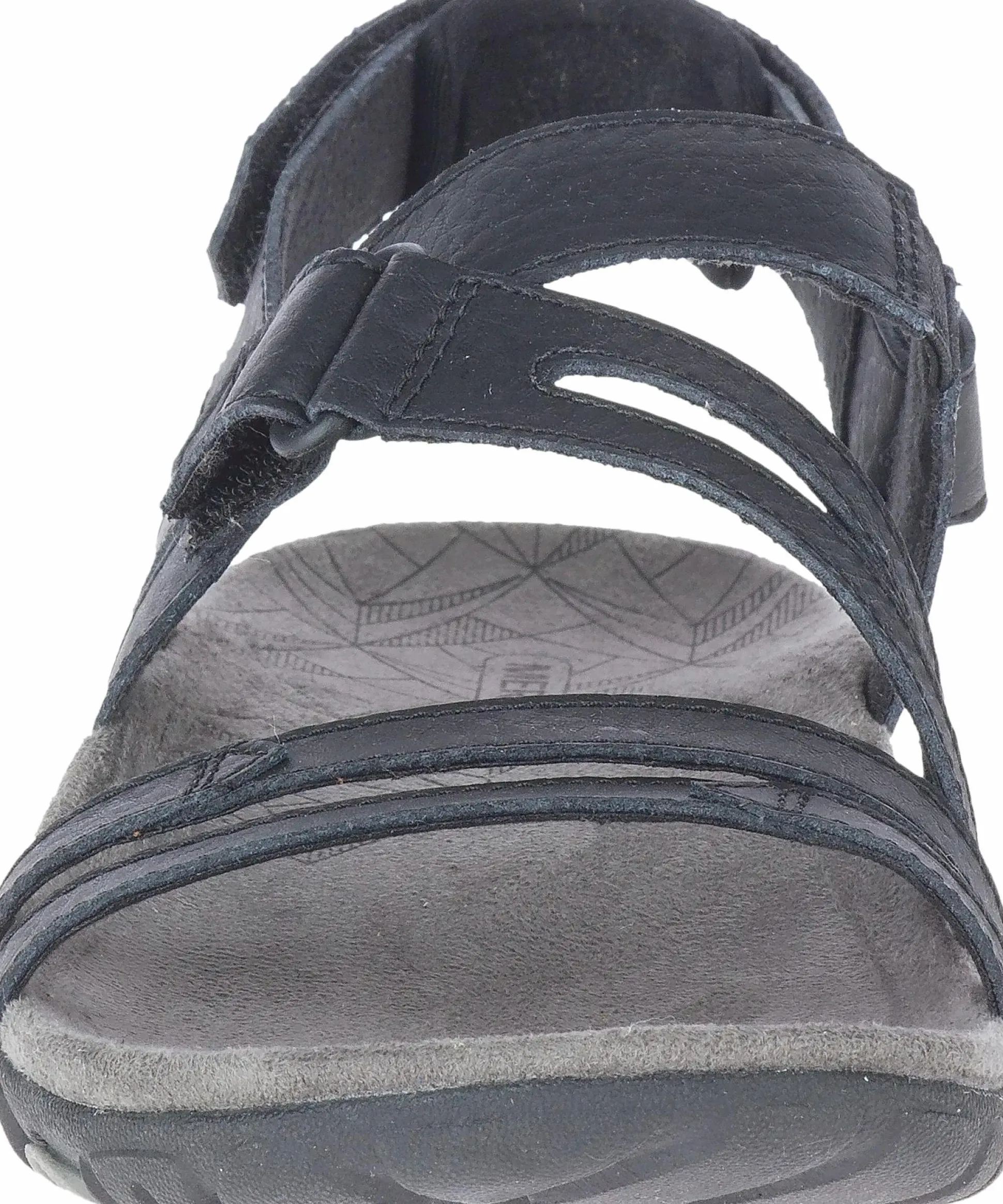 sandspur rose convert w